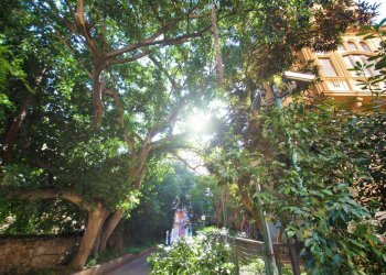 Foto 103 - Appartamento Via Dante
 
157, Palermo - foto 101