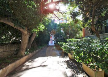 Foto 105 - Appartamento Via Dante
 
157, Palermo - foto 103