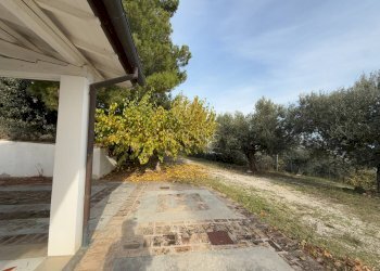 Foto 42 - Independent house C.da Casale
 
1, Moscufo - photo 42