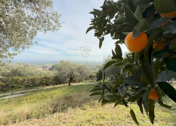 Foto 43 - Independent house C.da Casale
 
1, Moscufo - photo 43