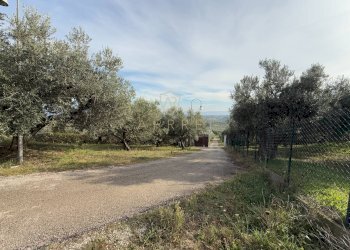 Foto 47 - Independent house C.da Casale
 
1, Moscufo - photo 47