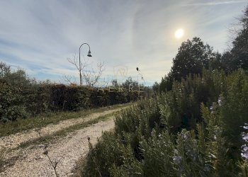 Foto 49 - Independent house C.da Casale
 
1, Moscufo - photo 49