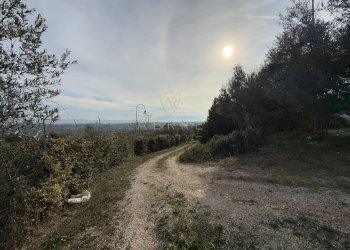 Foto 50 - Independent house C.da Casale
 
1, Moscufo - photo 50