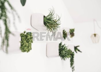 Dettagli - Attività Commerciale Corso Umberto I
 
98, Molfetta - foto 8