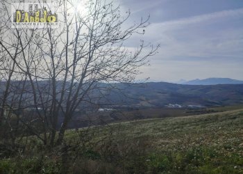 Foto 8 - Independent house Contrada Grazie, Cossignano - photo 8