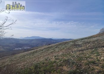 Foto 10 - Independent house Contrada Grazie, Cossignano - photo 10