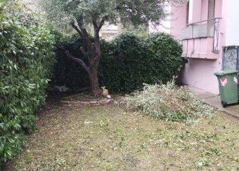 Foto 11 - Bilocale via dei gelsi
 
20, Bernareggio - foto 11