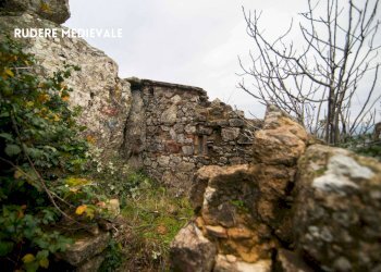 Vista delle montagne - Casa indipendente VIA DELL'INCROCIATA
 
21, Roccastrada - foto 21
