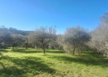 Foto 18 - Villa via delle corticelle
 
21, Arezzo - foto 18