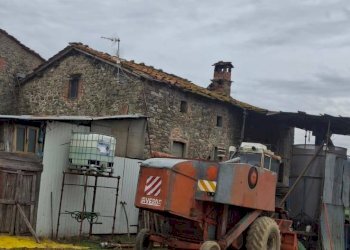 Foto 1 - Azienda agricola LOC FERRANTINA
 
61, Bibbiena - foto 1