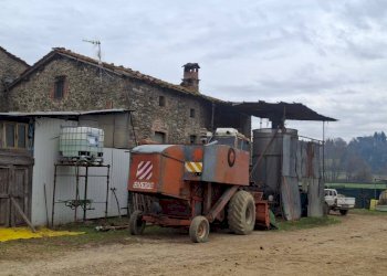 Foto 2 - Azienda agricola LOC FERRANTINA
 
61, Bibbiena - foto 2