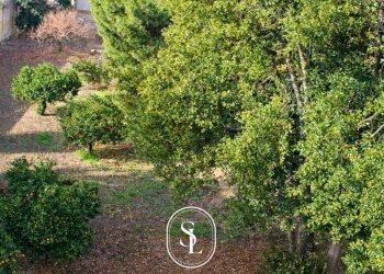 Foto 14 - Independent house Via Oronzo Quarta
 
27, Lecce - photo 14