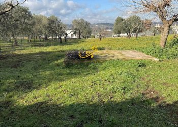 Foto 19 - Villa Contrada Recupero, Ceglie Messapica - photo 19