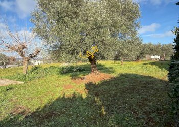 Foto 21 - Villa Contrada Recupero, Ceglie Messapica - photo 21