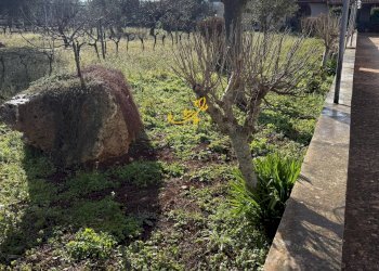 Foto 28 - Villa Contrada Recupero, Ceglie Messapica - photo 28