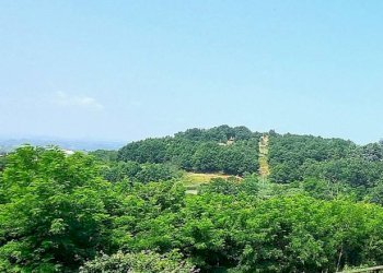 Vista - Rustico Mombaruzzo - foto 24