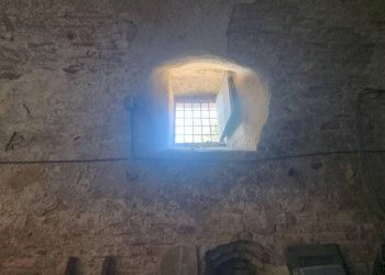 Altro - Rustic Mombaruzzo - photo 40