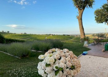 Terreno - Rustico via Santa Maria, 1, San Marcello - foto 46