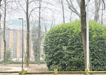 Foto 22 - Trilocale Mantova - foto 22