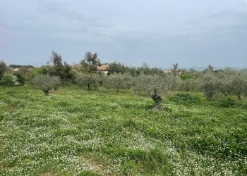 Foto 7 - Rustico via Monterosi, Monterosi - foto 7