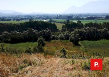 Foto 19 - Villa via Sottovia, Ruviano - foto 19