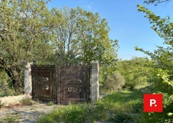 Foto 39 - Villa via Sottovia, Ruviano - foto 38