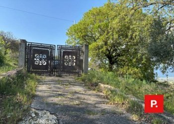 Foto 43 - Villa via Sottovia, Ruviano - foto 42