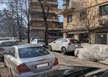 Zona - Shop Bologna (neighborhood Murri) - photo 9