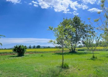 Zona - Villa via Rigosa, Bologna (zona Borgo Panigale) - foto 5