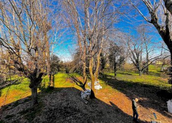 Terreno - Villa via Chiesa di Viadagola, Granarolo dell'Emilia - foto 25