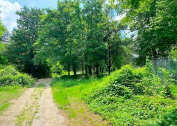 Terreno - Villa via di Gaibola, Bologna (zona Colli) - foto 23