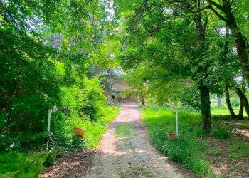 Giardino - Villa via di Gaibola, Bologna (zona Colli) - foto 24