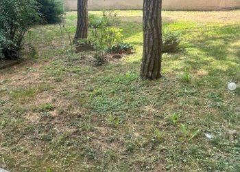 Terreno - Terreno non edificabile via Don Giovanni Fornasini, 38, Bologna (zona Bolognina) - foto 23