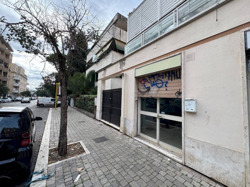 Zona - Shop viale di Villa Pamphili, 68D, Roma - photo 2