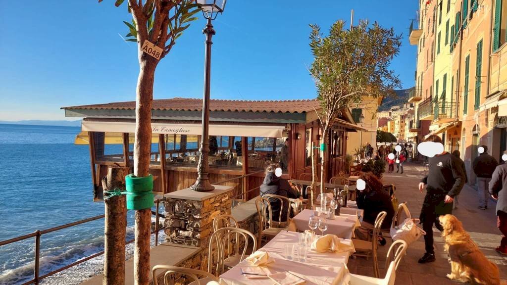 Zona - Negozio via Giuseppe Garibaldi, Camogli - foto 2