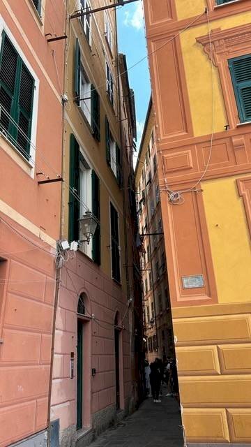 Zona - Negozio via Giuseppe Garibaldi, Camogli - foto 3