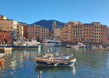 Zona - Negozio via Giuseppe Garibaldi, Camogli - foto 14