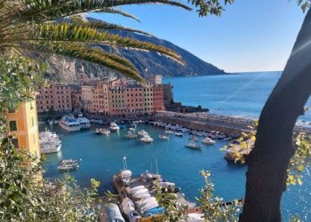 Zona - Negozio via Giuseppe Garibaldi, Camogli - foto 19