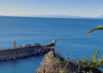 Zona - Negozio via Giuseppe Garibaldi, Camogli - foto 21