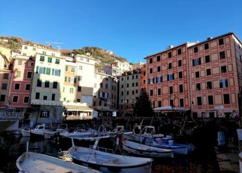 Zona - Negozio via Giuseppe Garibaldi, Camogli - foto 13