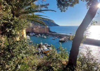 Zona - Negozio via Giuseppe Garibaldi, Camogli - foto 22