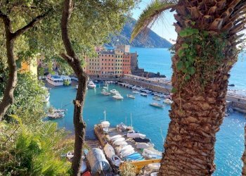 Zona - Negozio via Giuseppe Garibaldi, Camogli - foto 24