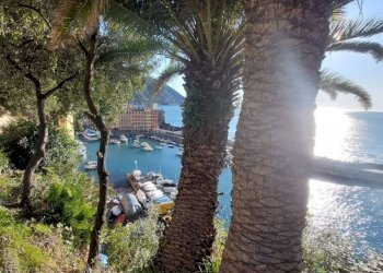 Zona - Negozio via Giuseppe Garibaldi, Camogli - foto 25