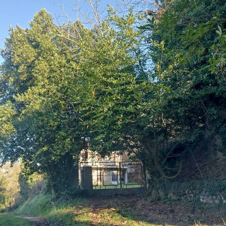 Terreno - Rustic via Trieste, Vignale Monferrato - photo 3