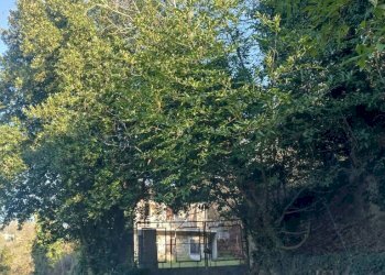 Terreno - Rustic via Trieste, Vignale Monferrato - photo 3