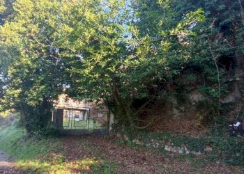 Terreno - Rustico via Trieste, Vignale Monferrato - foto 11