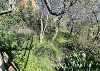 TERRENO - Casa indipendente VIA CANNETO APPARIZIONE, Genova (zona Apparizione) - foto 24