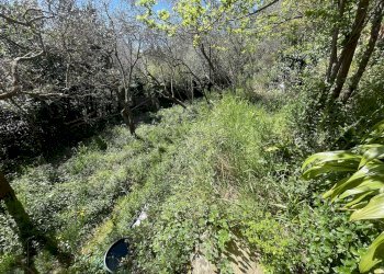 TERRENO - Casa indipendente VIA CANNETO APPARIZIONE, Genova (zona Apparizione) - foto 26