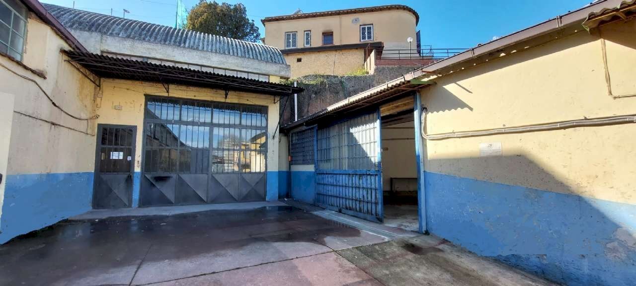 img-20250129-wa0025 ritocco - Laboratory via mesula, Roma - photo 2