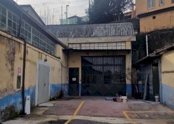 whatsapp image 2026-01-20 at 14.21.57 - Laboratory via mesula, Roma - photo 22